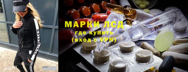 сатива Армянск
