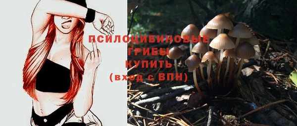 сатива Армянск
