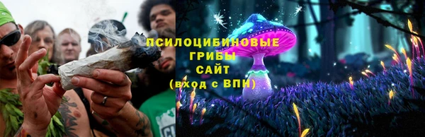 трава Аркадак