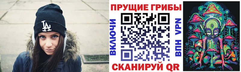 MEGA зеркало  цены наркотик  Острогожск  Галлюциногенные грибы ЛСД 